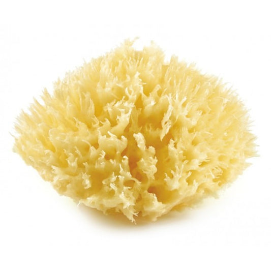 Body Sponge Yellow
