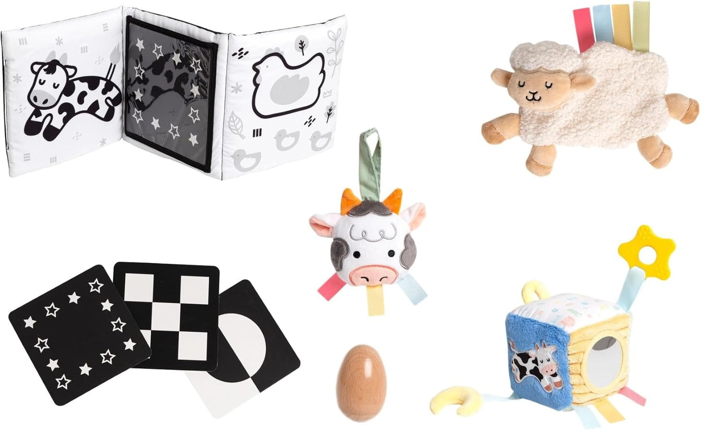 Learning Kit for Babies 0-6 M
