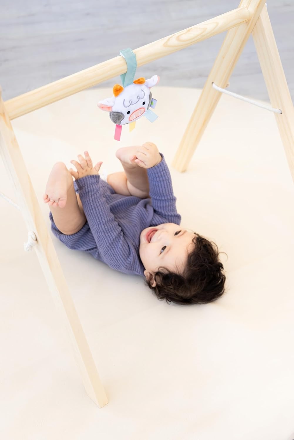 Learning Kit for Babies 0-6 M