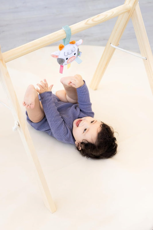 Learning Kit for Babies 0-6 M