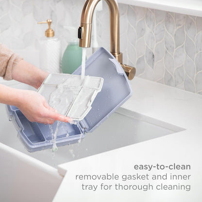 Bento Lunch Box for Kids with 4 Compartments