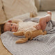 organic cotton baby blanket - Grey