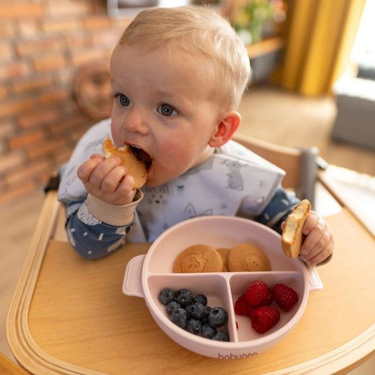 silicone suction plate with lid -pink