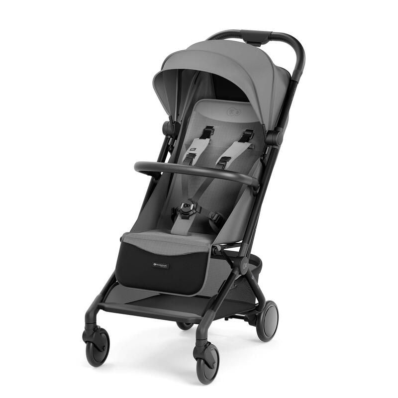 Pilot 2 Platinum Gray Stroller