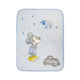 Mickey Raschel Blanket