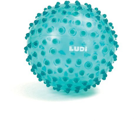 LUDI: Blue Sensory Massage Ball