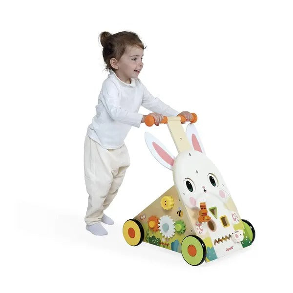 Wooden Rabbit Multi-Activity Cart