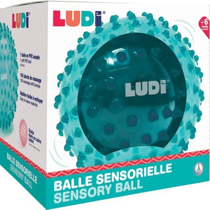 LUDI: Blue Sensory Massage Ball