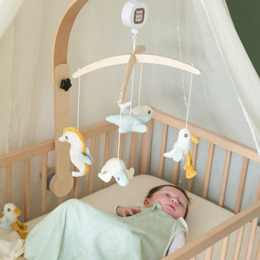 Trois Kilos Sept Sleeping Bag – (0–6 Months)