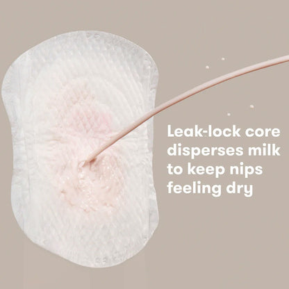 All Day Dry Nursing Pads