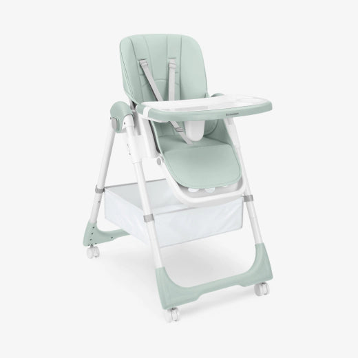 Spicy Mint Highchair