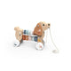 Speedy Monkey Puppy Pull Along