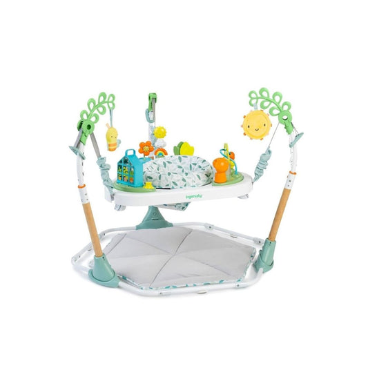 Tummy to Toes 6-in-1 Milestones Center