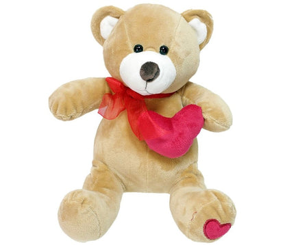 Valentine’s Day Teddy Bear & Heart-Patterned Cuddly Blanket Set